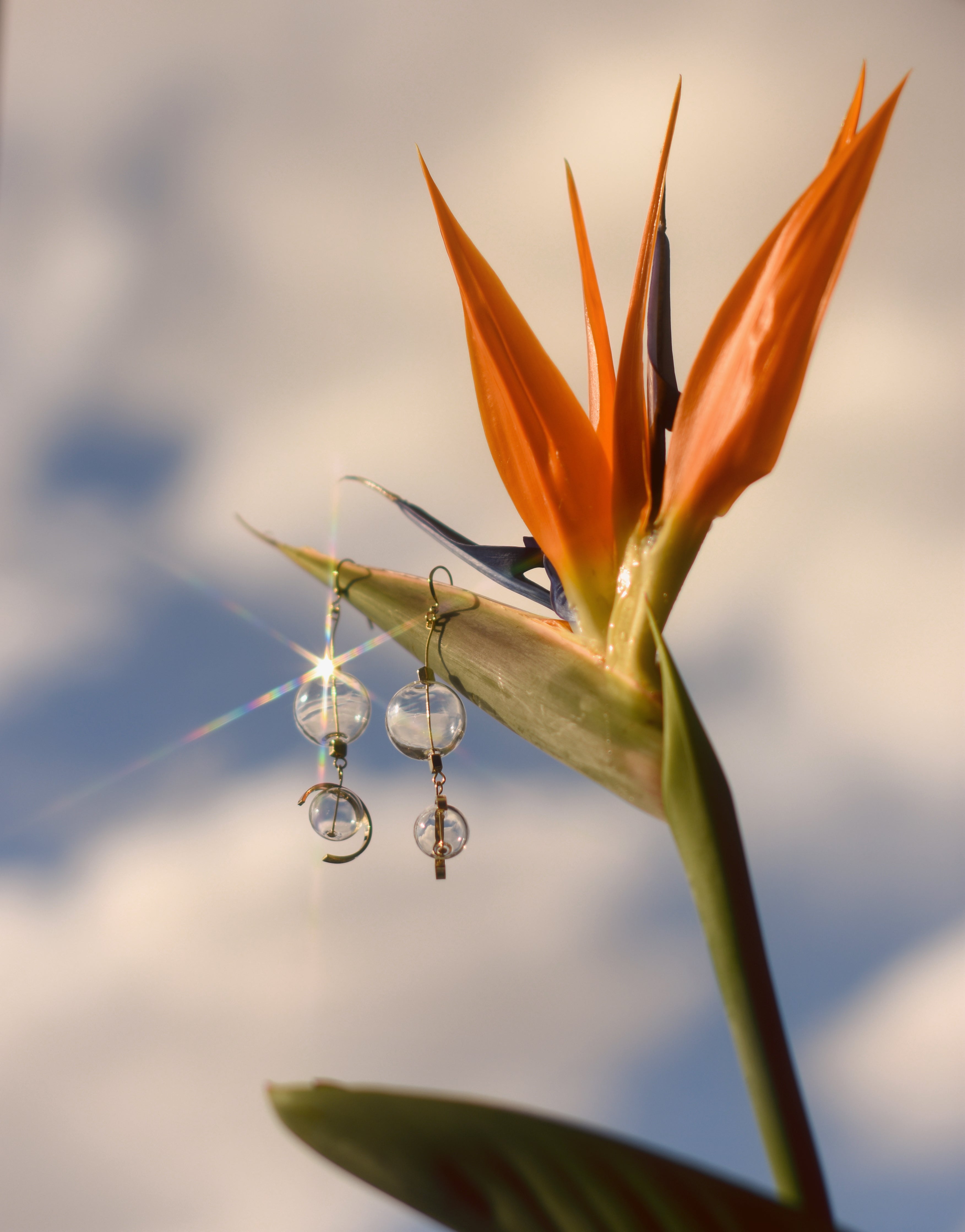 Glass bubble pendant earrings. - Parsel Studio